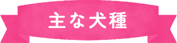 ポイント