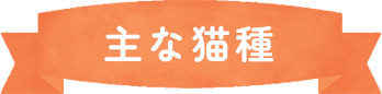 ポイント