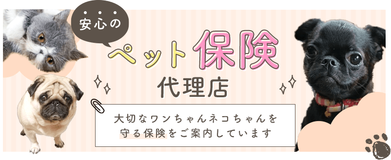 安心のペット保険代理店,大切なワンちゃんネコちゃんを守る保険をご案内しています